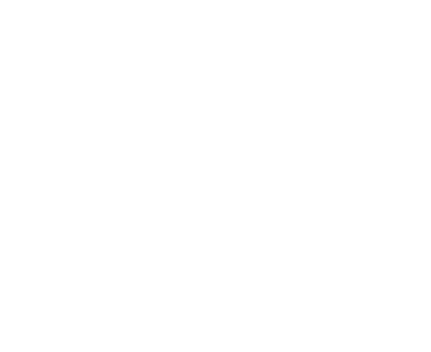 Logo FI - UNLZ